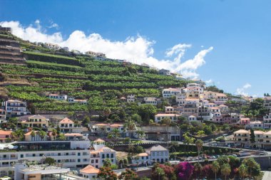 Beautiful view of the city on a summer day. Camara de Lobos. Madeira. Portugal. clipart