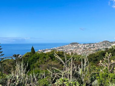 Bir yaz gününde güzel bir ada ve okyanus manzarası. Üst Manzara. Funchal. Madeira. Portekiz.