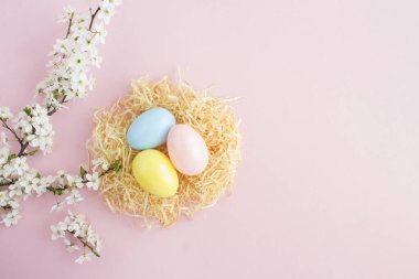 Pembe arka planda saman ve beyaz çiçekli ağaç dalları yuvasında renkli paskalya yumurtaları. Üst Manzara. Boşluğu kopyala.
