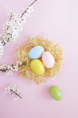 Beyaz bir tabakta renkli paskalya yumurtaları ve pembe arka planda beyaz çiçek açan ağaç dalları. Üst Manzara. Konum dikey.