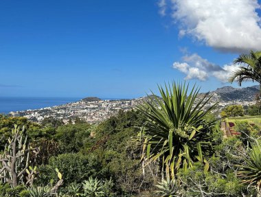 Bir yaz gününde güzel bir ada ve okyanus manzarası. Üst Manzara. Funchal. Madeira. Portekiz.