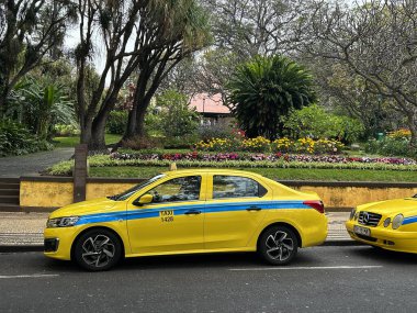 Funchal, Portekiz - 31 Mayıs 2025: Sarı taksi bir yaz günü şehir caddesine park etti.