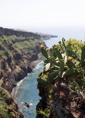 Bir yaz gününde dağ ve okyanus manzarası çok güzel. Madeira. Portekiz.