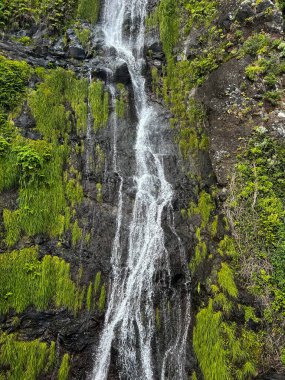 Bir yaz günü şelale manzarası. Yakın plan. Doğa geçmişi. Madeira. Portekiz.