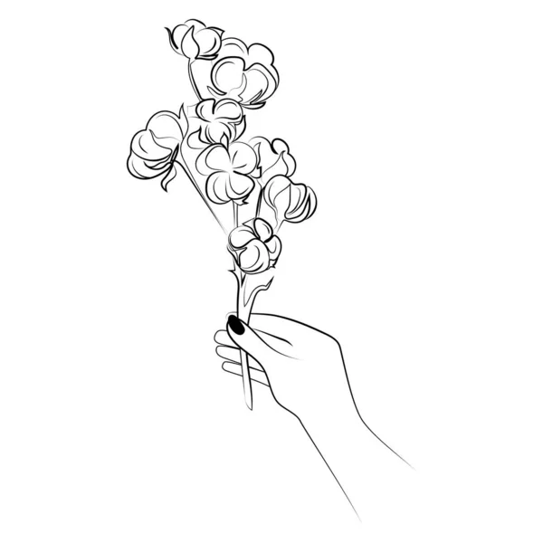 綿の枝を持つ手ラインアートベクトルのイラスト女性の手は白い背景に隔離された綿の花黒と白のスケッチハンドドローイング エンブレム プリントデザイン要素を持つ枝を保持 — ストックベクタ
