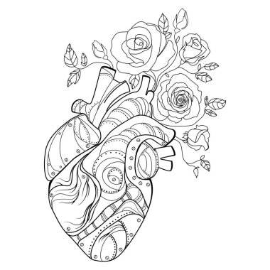 Anatomical human heart with flowers roses Line drawing vector illustration.Mechanical human heart organ with flowers growing from it,sketch drawing suyurealistic design for print,emblem,tattoo  idea