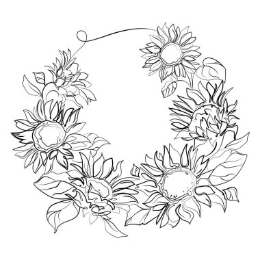 Ayçiçeği çerçeve çizimi doğrusal çizim şeklinde. Yaz tasarımı, romantik tasarım şablonu veya doğayla ilgili arka plan için vektör illüstrasyonu. Ayçiçeği çizimi