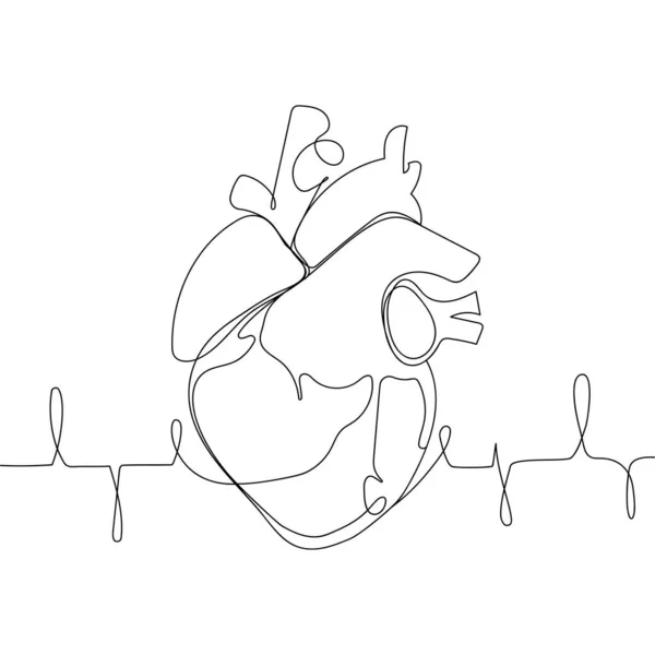 解剖学人类心脏轮廓单一连续线条艺术健康医学概念设计草图勾画出重要的人体器官向量图简约设计有心电图的人类心脏 — 图库矢量图片