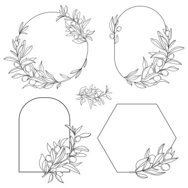 Siyah zeytin dalları seti. Zeytin dalları çerçeveler ve çelenkler çizilmiş sanat eserleri. Eski koleksiyon. Vektör dekoratif elementler. Yapraklar, girdaplar, süsler, etiketler, düğün davetiyeleri