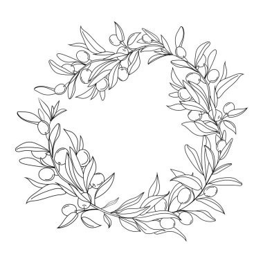 Gerçekçi zeytin dalları çerçeve çizimi. Nazik el çizimi. Zeytin dalları. Botanik çiçek etiketi, çelenk çizim tasarım elementi.