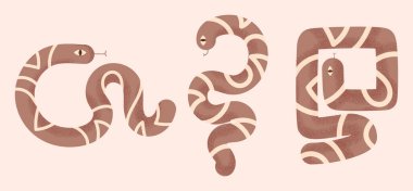 Soyut geometrik stilize yılanlar seti. Yılanlar modern sadeleştirilmiş tarzda tasarım elementleri toplarlar. Yılan işareti, amblem logosu, element, dekor. Vektör illüstrasyonu