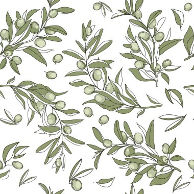 Beyaz arka planda yeşil yapraklı ve meyveli el yapımı zeytin dalları içeren kusursuz desen botanik tasarımı tekstil paketleme kağıtları ve markalaşma için mükemmeldir.