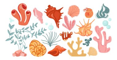 Renkli deniz kabukları, mercanlar ve deniz bitkileri seti. Mercan, kabuk ve okyanus elementlerinin su altı koleksiyonu. Okyanus tasarımları, arka planlar ve yaratıcı yaratıcılık için dekoratif deniz vektör çizimi.