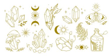 Kristaller, mantarlar, ay aşamaları, bitkiler, sihirli semboller ve esrarengiz elementler içeren mistik boho çizgisi koleksiyonu. Esrarengiz baskılar, çıkartmalar, dövme, markalaşma, ruhani projeler, sosyal medya.