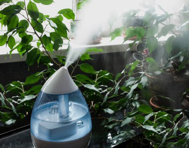 Nemlendirici içerideki bitkiler için elverişli bir ortam yaratır.