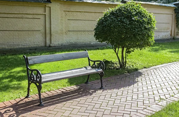 Paved Path Bench Decorative Tree Old Park Sunny Day — Stock Photo, Image