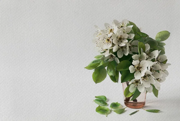 Akvarell Ritning Vilda Päron Blomställningar Ett Glas — Stockfoto