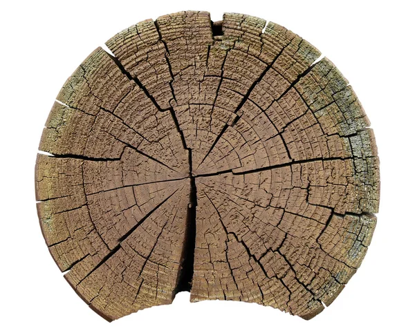 Round cut of a tree trunk with annual rings and cracks