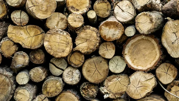 Brennholz Für Ofen Und Kamin Zur Lagerung Gestapelt — Stockfoto