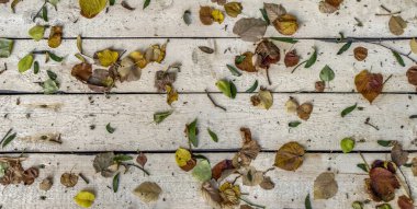 Boyanmış tahtaların üzerine düşen çeşitli yaprakların katmanı