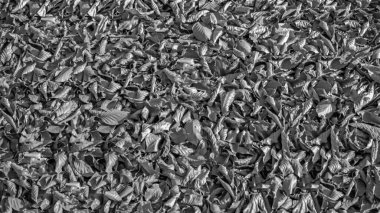 Yere düşen sarı yapraklardan oluşan siyah beyaz bir tabaka