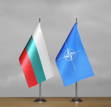 Gri arkaplanda Bulgaristan ve NATO bayrakları