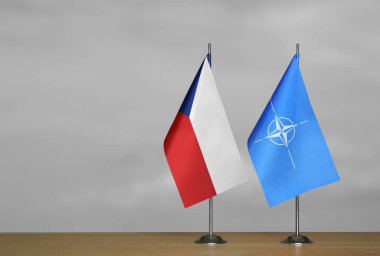 Gri arka planda Çek Cumhuriyeti ve NATO bayrakları