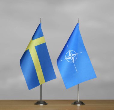 Gri arka planda İsveç ve NATO bayrakları