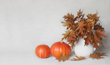 Gri bulanık arka planda balkabağı ve kuru meşe yapraklarının sonbahar kompozisyonu