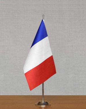 Gri arkaplanda Fransa bayrağı