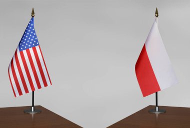 ABD ve Polonya 'nın bayrakları gri arka planda duruyor