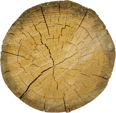 Yıllık halkaları ve çatlakları olan bir ağaç gövdesinin yuvarlak kesimi