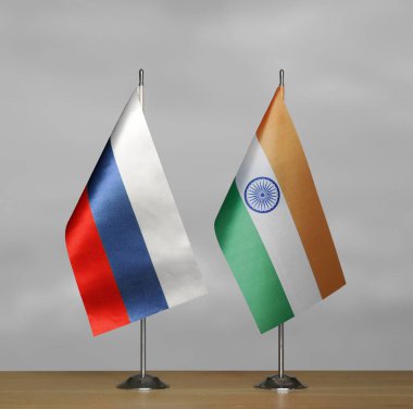 Gri arka planda Rusya ve Hindistan 'ın bayrakları bulanık