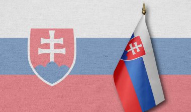Arka planda Slovakya bayrağının soluk bir görüntüsü olan küçük bir Slovakya bayrağı