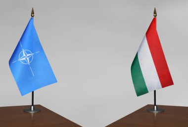 NATO ve Macaristan 'ın bayrakları gri arka planda duruyor