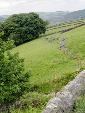 dry stone wall in front of a hillside grass covered meadow in calderdale west yorkshire