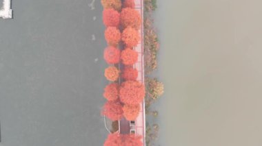 Hubei Wuhan Doğu Gölü Sahnesi Sonbahar Hava Fotoğrafçılık Sahnesi
