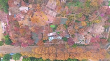 Hubei Wuhan Doğu Gölü Sahnesi Sonbahar Hava Fotoğrafçılık Sahnesi