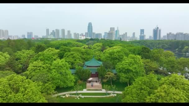 湖北武漢東湖風景区夏の空中写真風景 — ストック動画