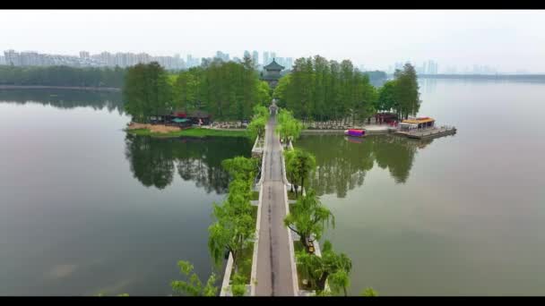 Hubei Wuhan East Lake Área Cênica Verão Fotografia Aérea Paisagem — Vídeo de Stock