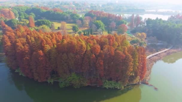 湖北武漢東湖風景区秋の空中写真風景 — ストック動画