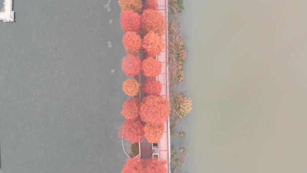 Hubei Wuhan East Lake Scenic Area Jesień Fotografia Lotu Ptaka — Wideo stockowe