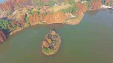 Hubei Wuhan Doğu Gölü Sahnesi Sonbahar Hava Fotoğrafçılık Sahnesi