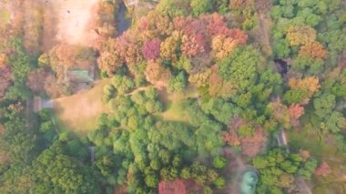 Hubei Wuhan Doğu Gölü Sahnesi Sonbahar Hava Fotoğrafçılık Sahnesi