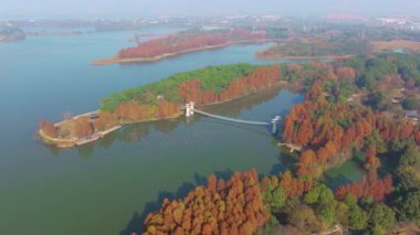 Hubei Wuhan Doğu Gölü Sahnesi Sonbahar Hava Fotoğrafçılık Sahnesi