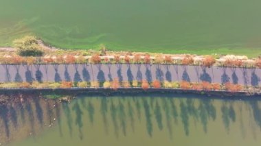 Hubei Wuhan Doğu Gölü Sahnesi Sonbahar Hava Fotoğrafçılık Sahnesi