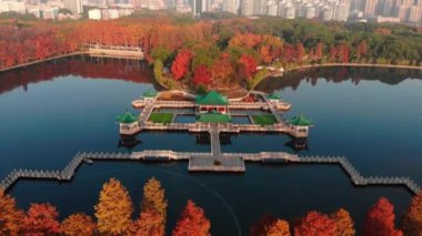 Hubei Wuhan Doğu Gölü Sahnesi Sonbahar Hava Fotoğrafçılık Sahnesi