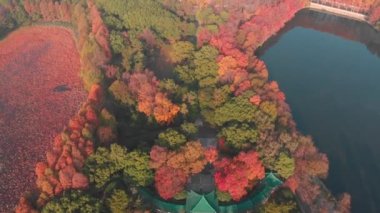 Hubei Wuhan Doğu Gölü Sahnesi Sonbahar Hava Fotoğrafçılık Sahnesi