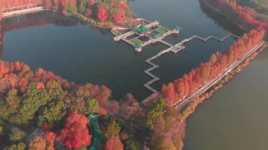 Hubei Wuhan Doğu Gölü Sahnesi Sonbahar Hava Fotoğrafçılık Sahnesi