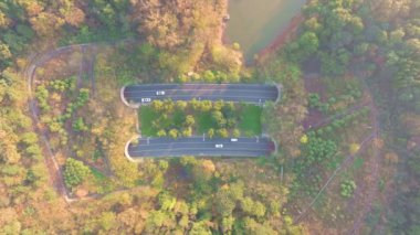 Hubei Wuhan Doğu Gölü Sahnesi Sonbahar Hava Fotoğrafçılık Sahnesi